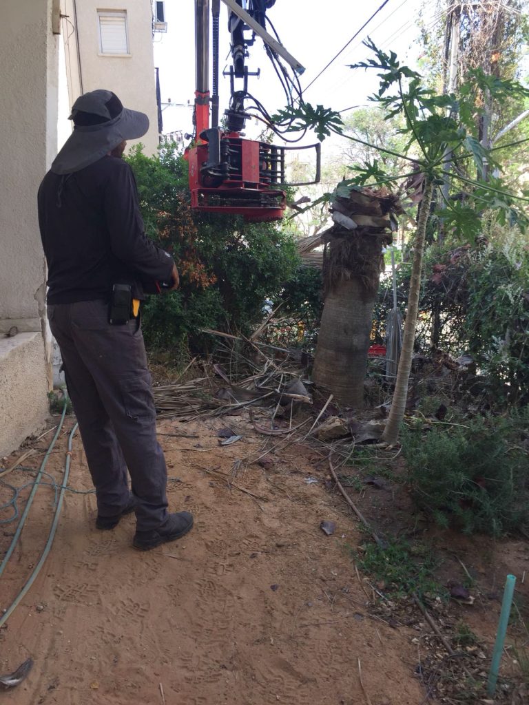 גיזום עצים